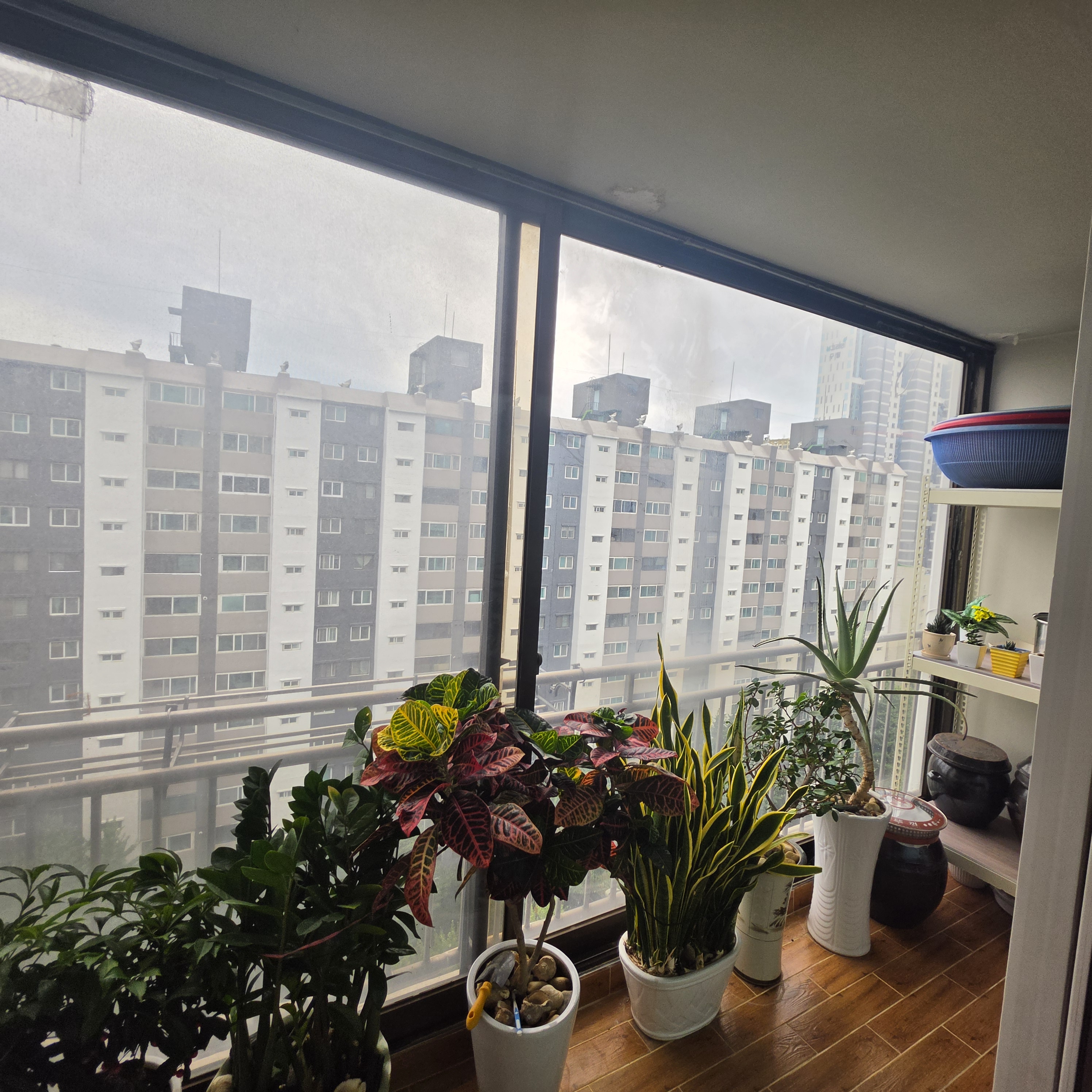인천 남동구 효성상아아파트 30평 외창 견적의뢰 첨부 이미지 3 - 00112.jpg
