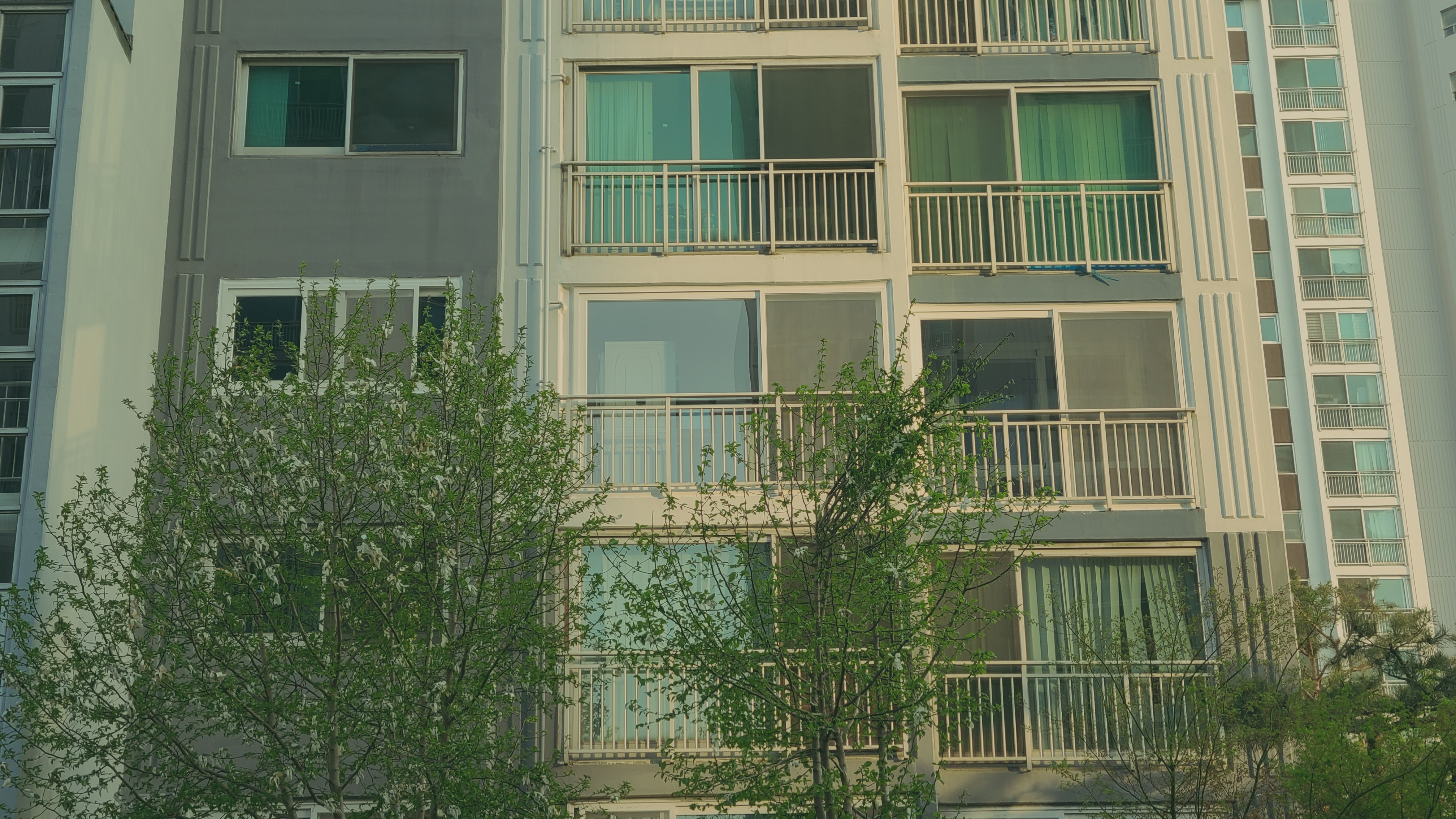 20230403_174533.jpg