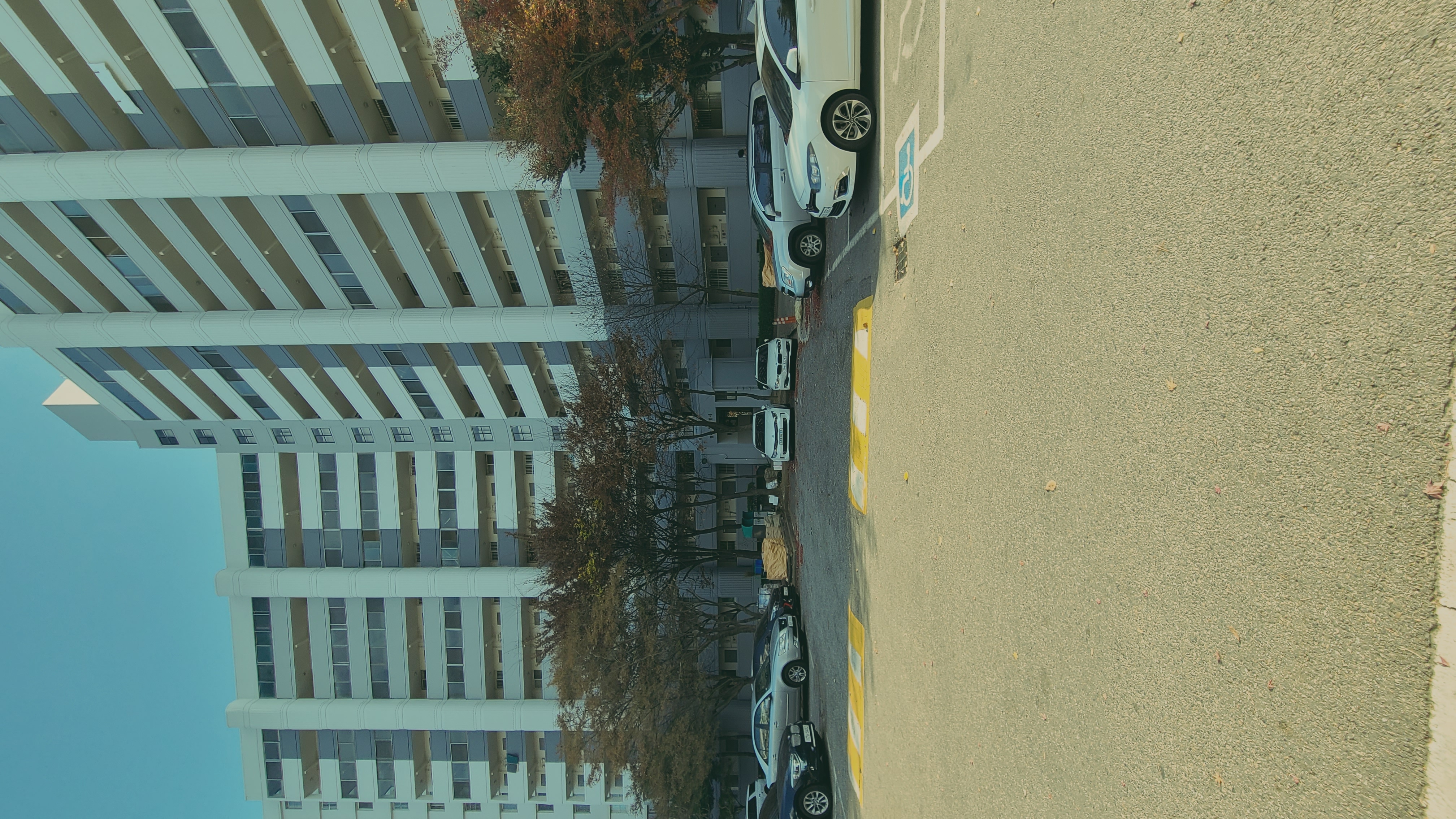 20221125_160156.jpg