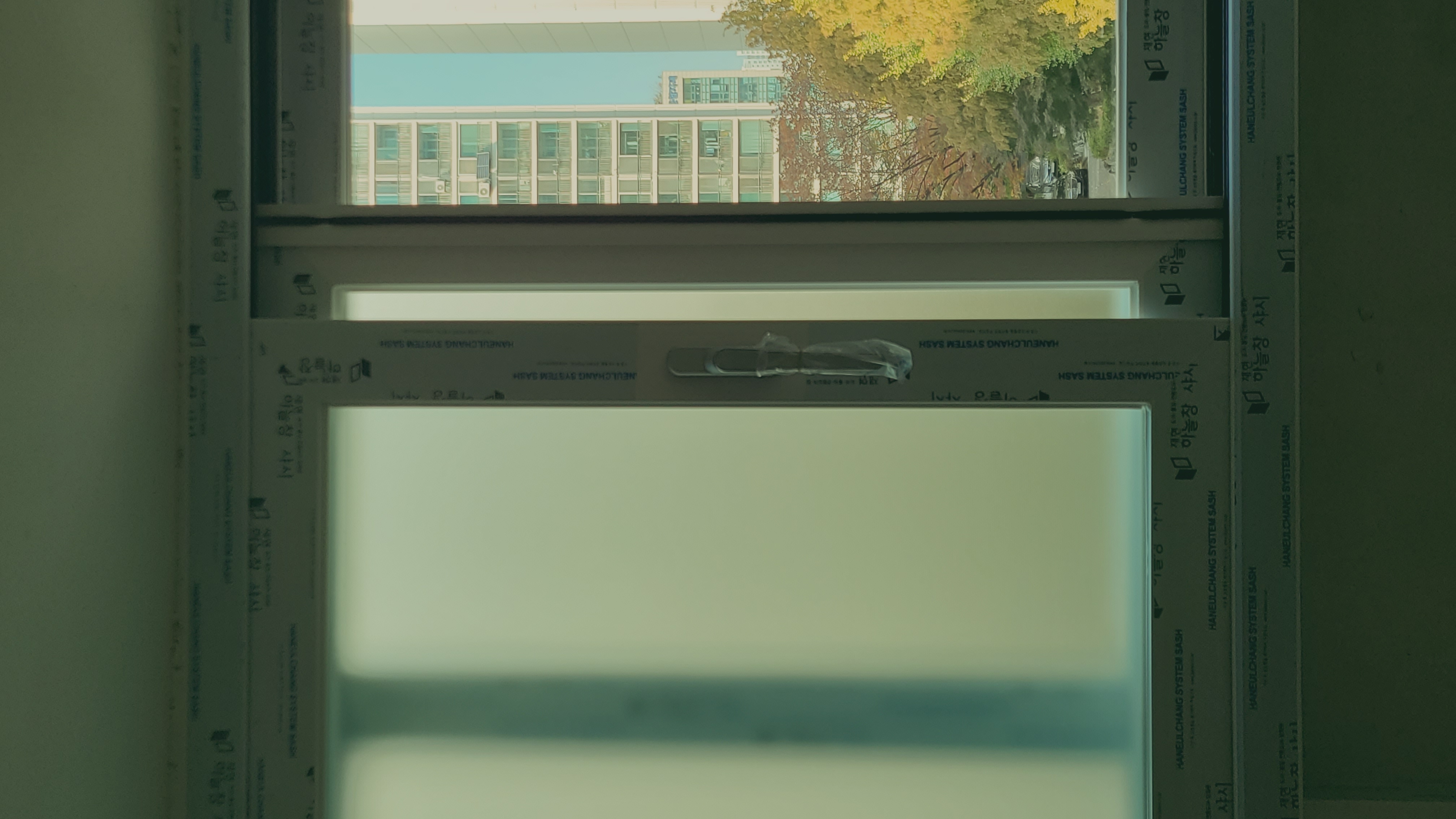 20221101_165341.jpg