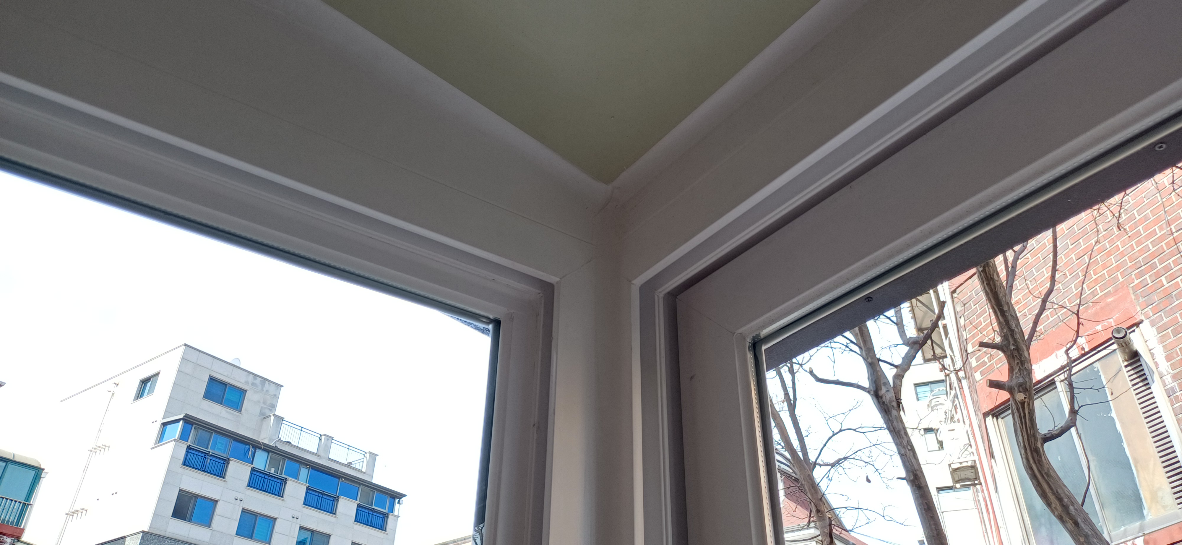 20260226_110900.jpg