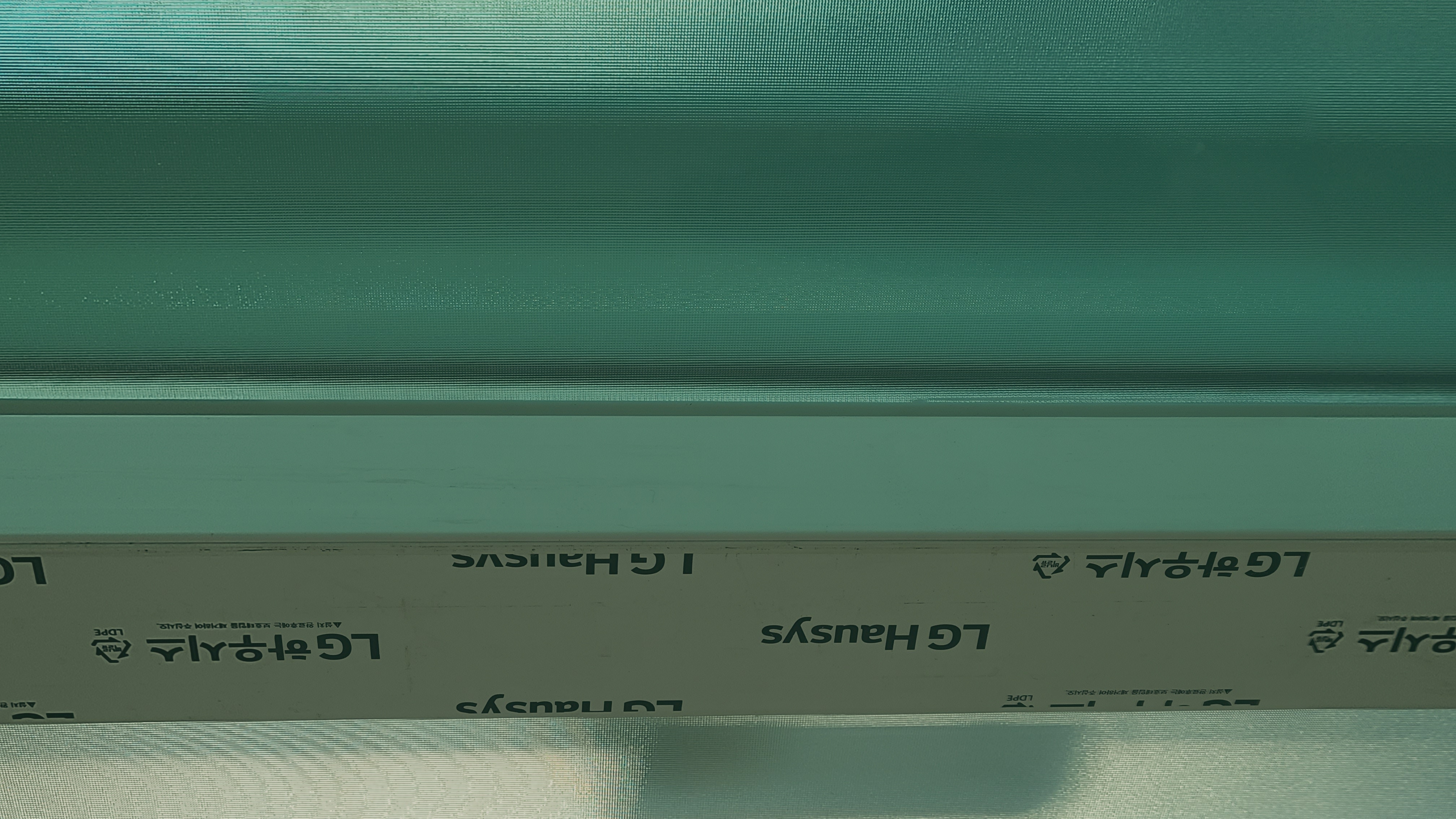 20221012_172824.jpg