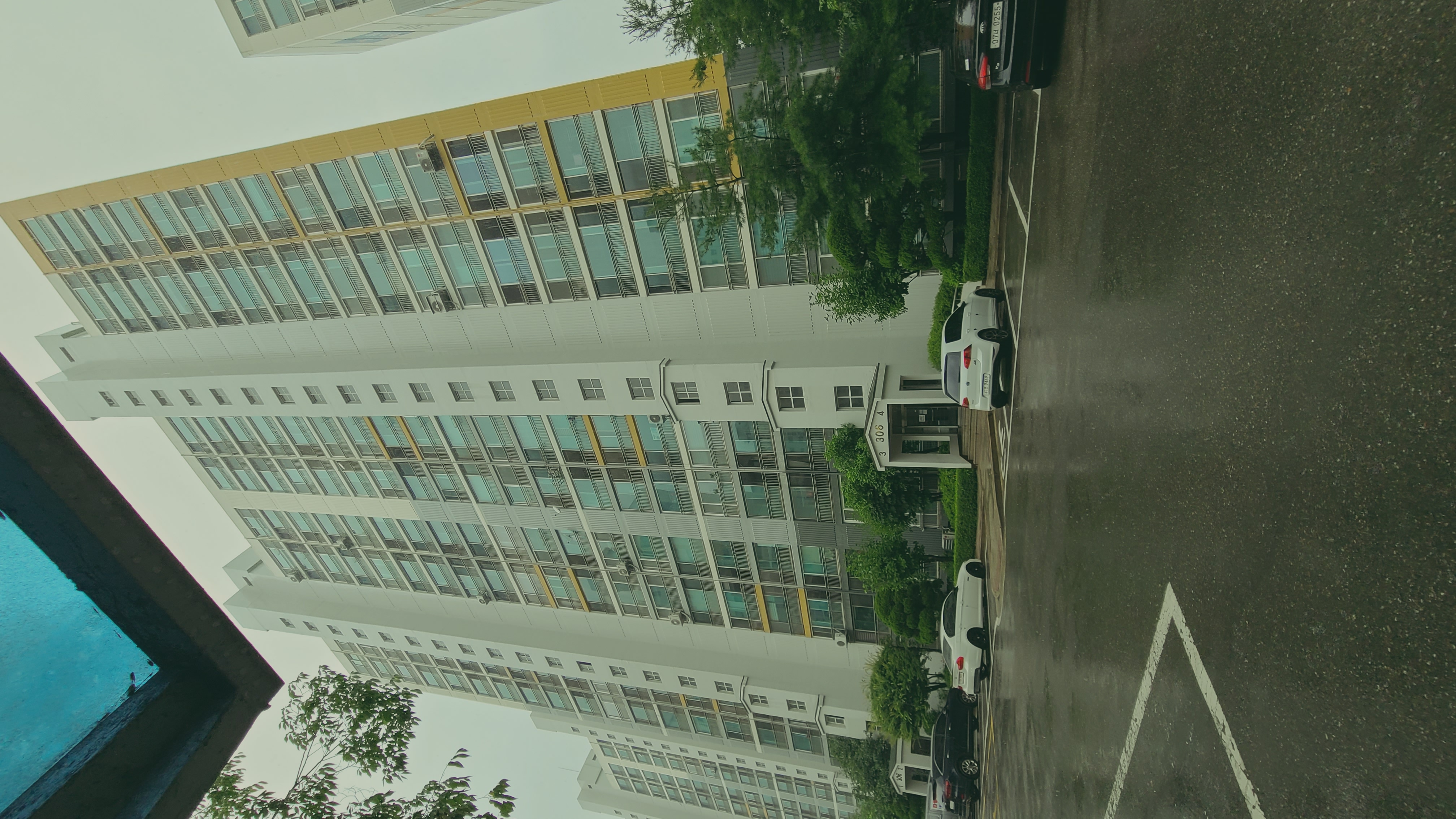 20230711_155011.jpg