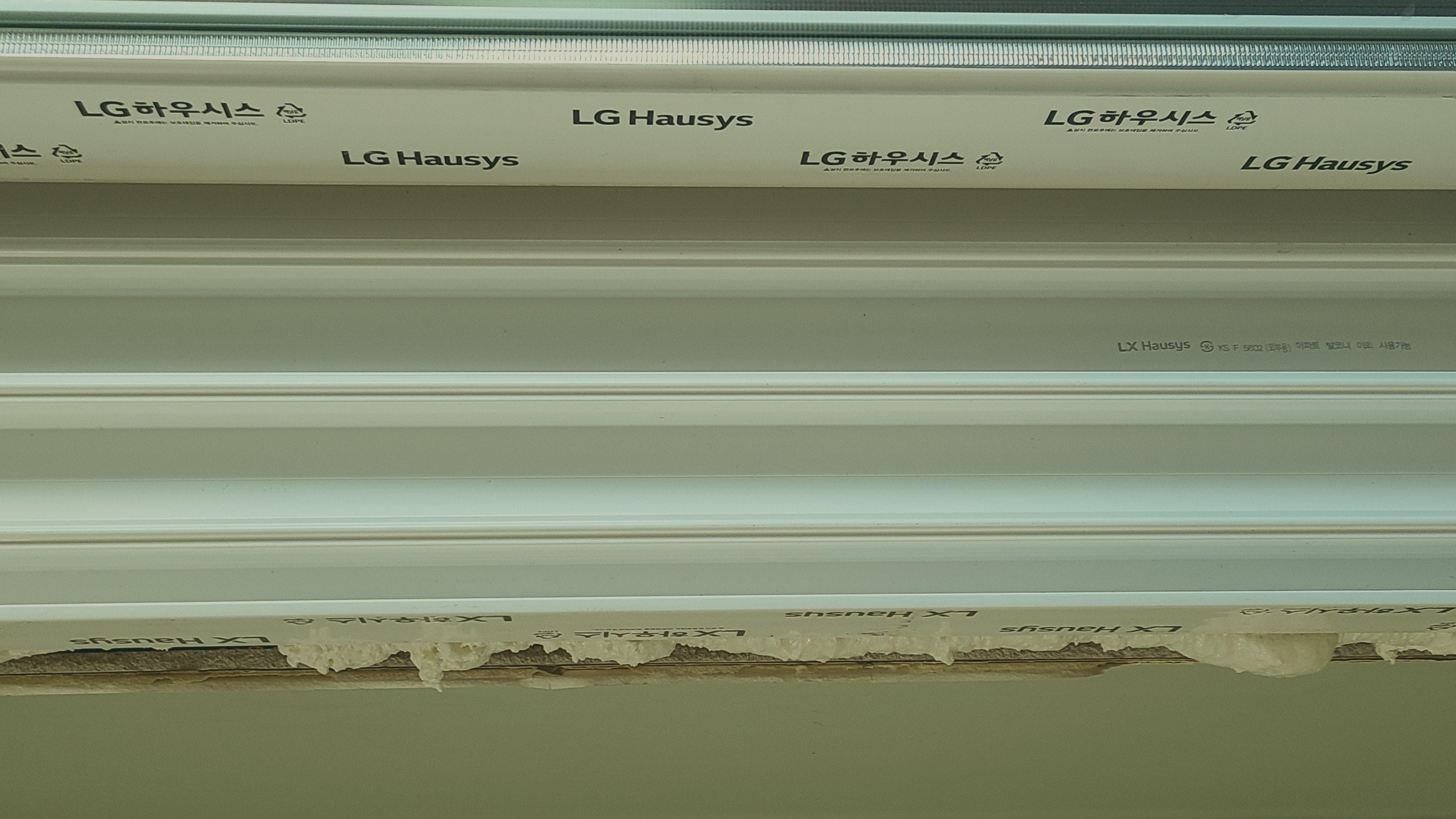 20221012_164501.jpg