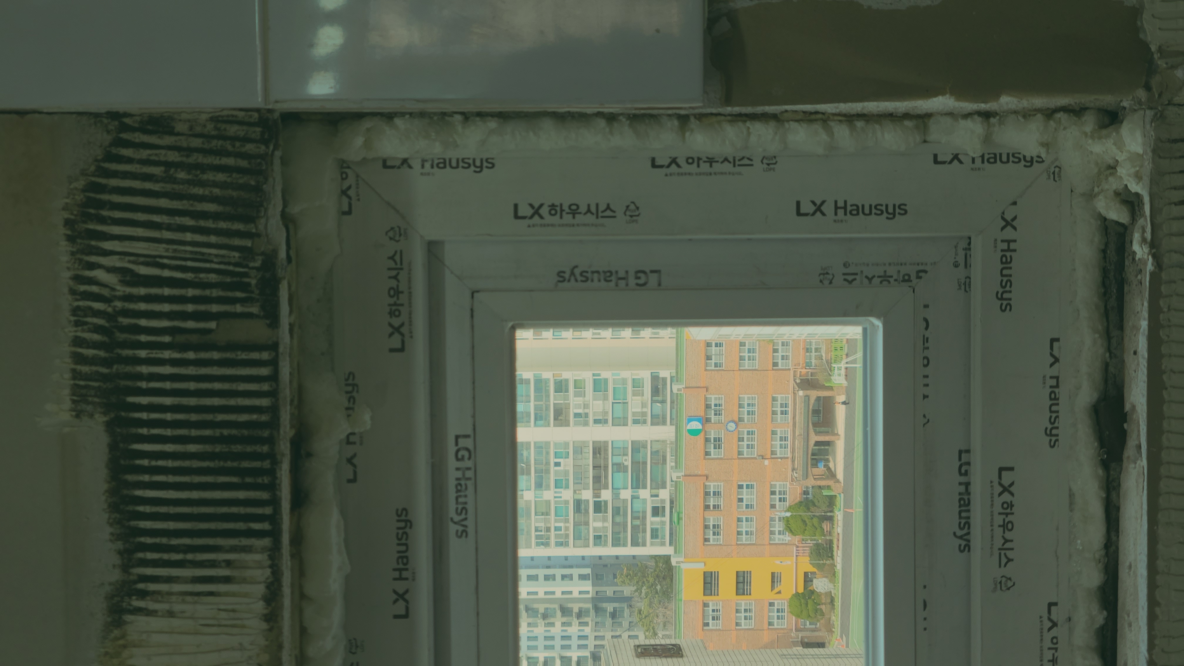 20230308_123556.jpg