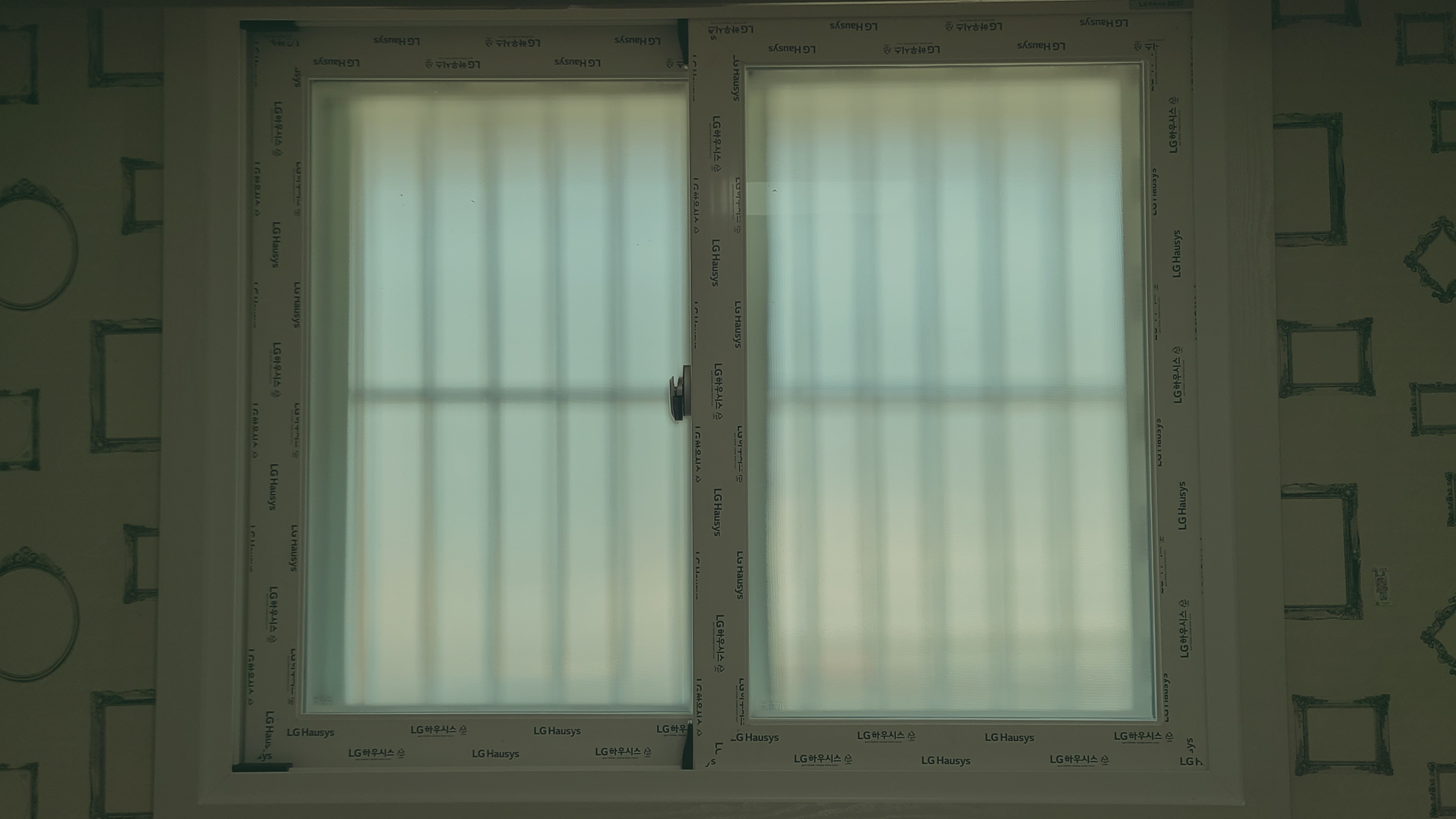 20230303_152922.jpg