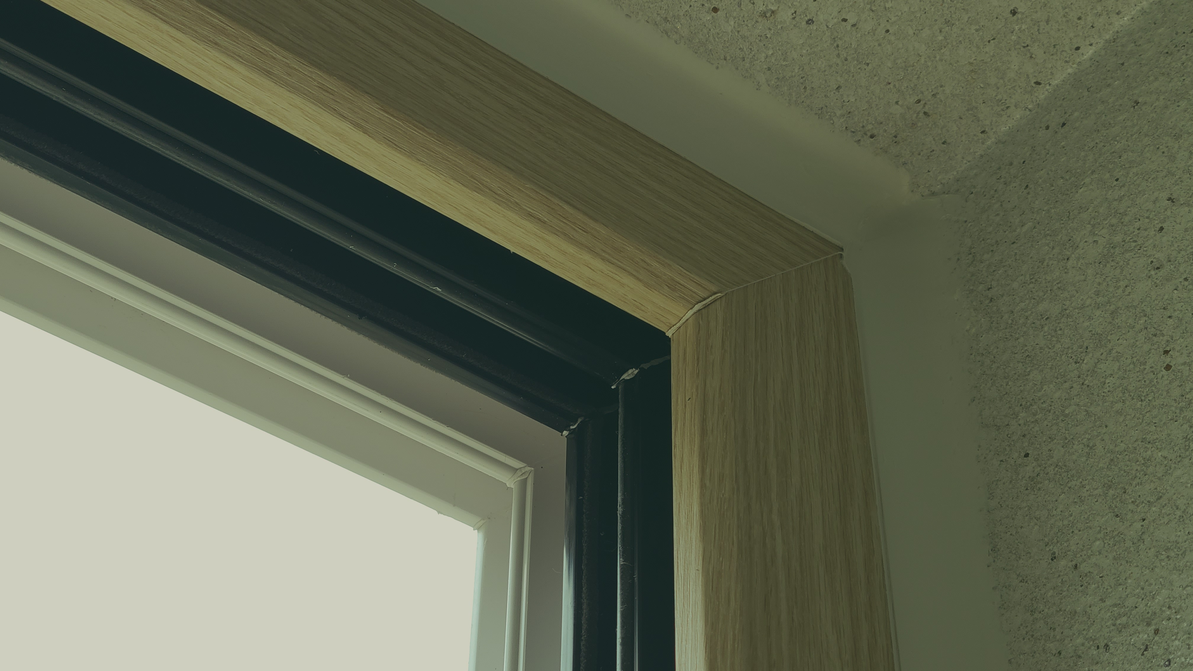 20230519_120442.jpg