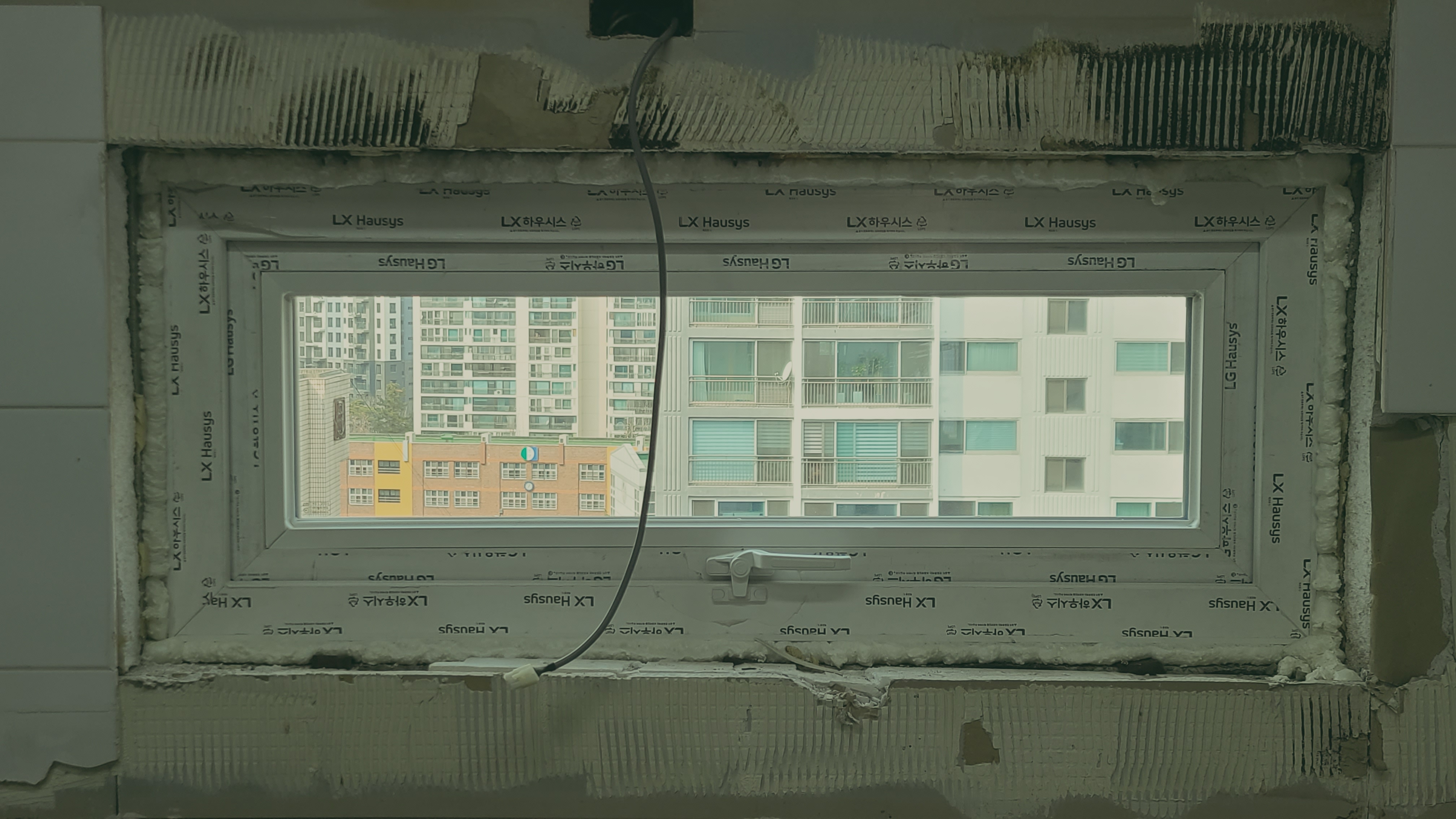 20230308_123526.jpg