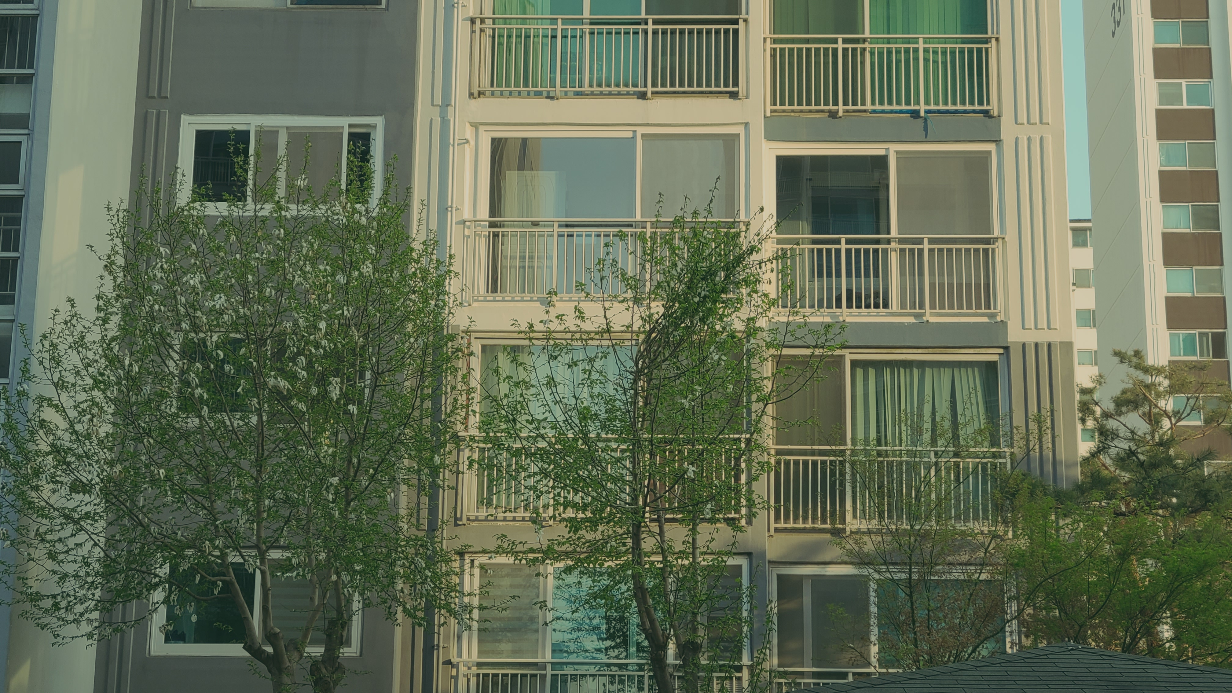 20230403_174337.jpg